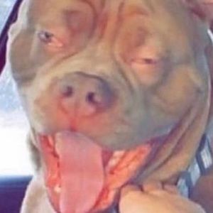 Meet your Posher, Danny